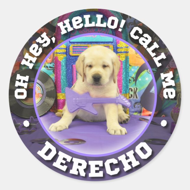 Rock Star Derecho Classic Round Sticker (Front)