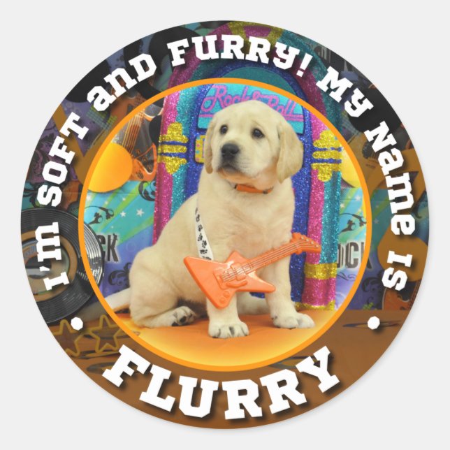 Rock Star Flurry Classic Round Sticker (Front)