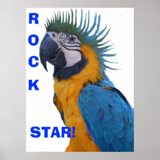 Rock Star Macaw Poster