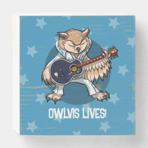 Rock Star Owl Owlvis Lives! Guitarist Cartoon Wooden Box Sign
