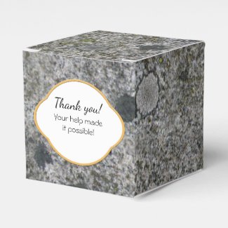 Rock Texture Gray Granite with Moss any Text