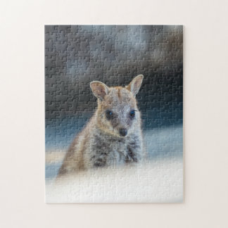 Rock Wallaby Joey Portrait – Australian Wildlife  Jigsaw Puzzle
