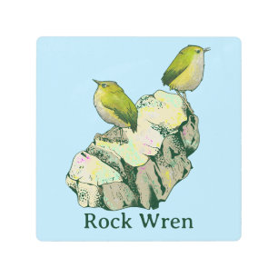 Rock Wren birds New Zealand Metal Print