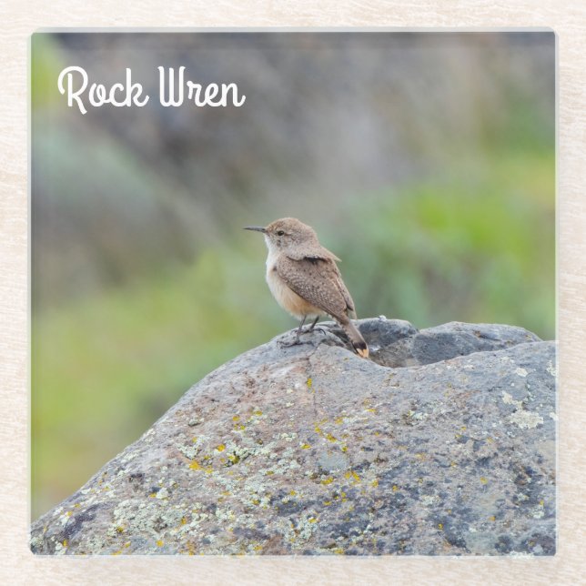 Rock Wren Glass Coaster (Front)