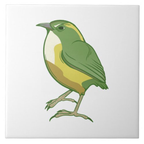 Rock Wren New Zealand Bird Ceramic Tile