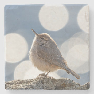 Rock Wren Stone Coaster