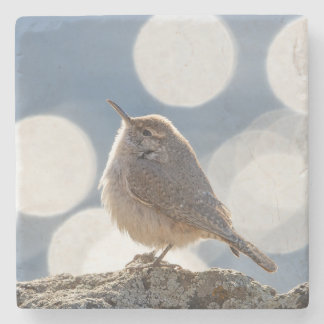 Rock Wren Stone Coaster