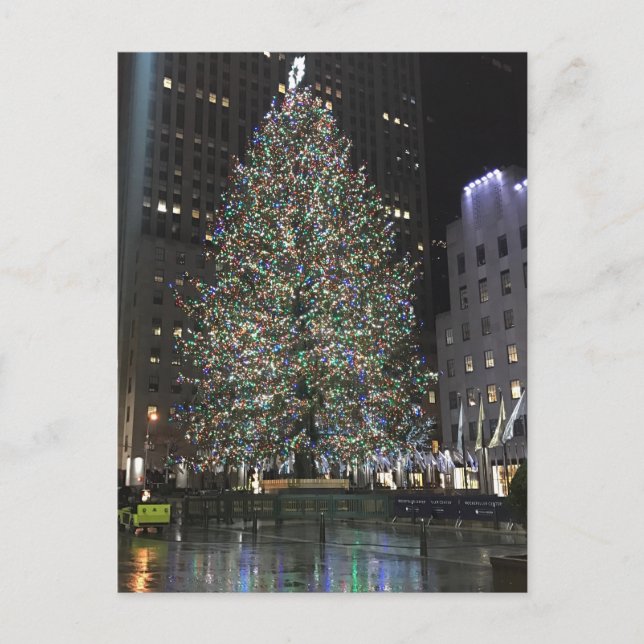 Rockefeller Center NYC Christmas Tree Reflection Holiday Postcard (Front)