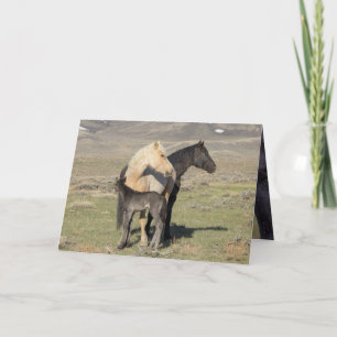 Rocket's Family Greeting Card