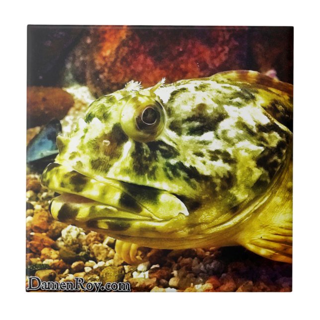 Rockfish Ceramic Tile (Front)