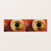 Rockfish Eye (Outside Unfolded)