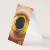 Rockfish Eye (Front)