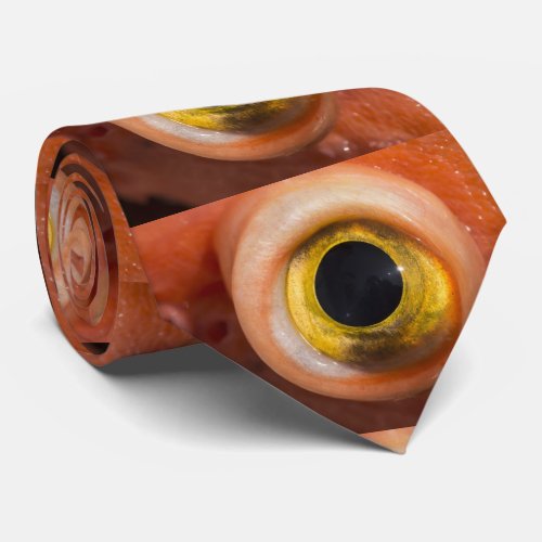 Rockfish Eye Neck Tie