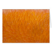 Rockfish Skin (Front Horizontal)