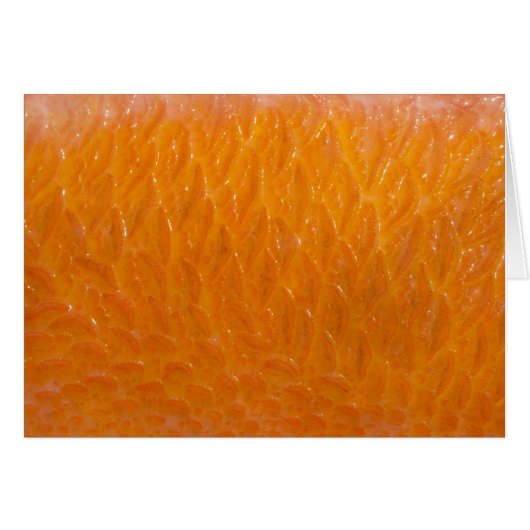 Rockfish Skin Cards (Front Horizontal)
