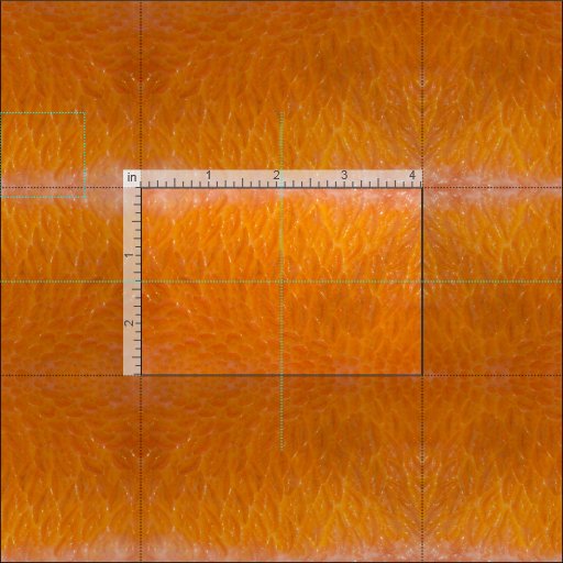 Rockfish Skin Fabric