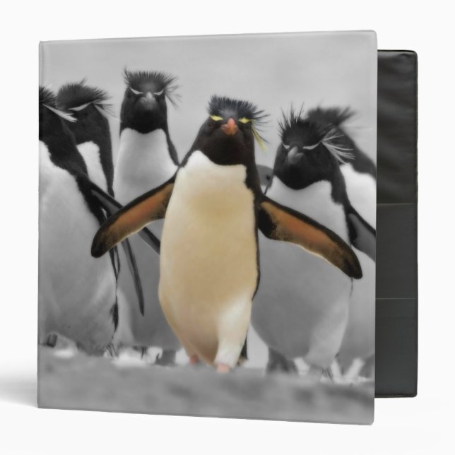 Rockhopper Penguin 3 Ring Binder (Front/Inside)