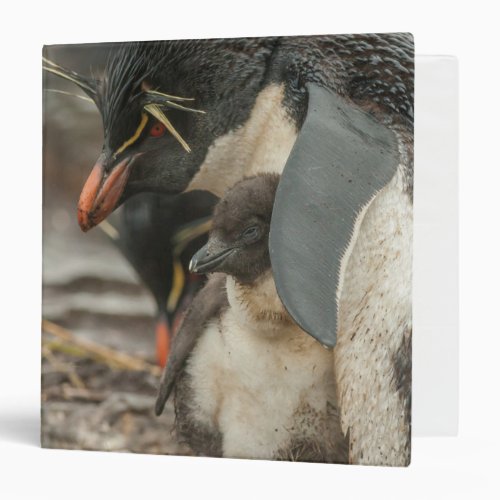 Rockhopper penguin and chick binder
