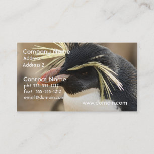 Rockhopper Penguin Business Cards