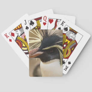 Rockhopper Penguin Deck of Cards