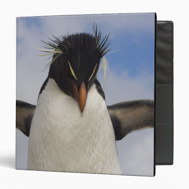 Rockhopper Penguin Eudyptes chrysocome Binder (Front/Inside)