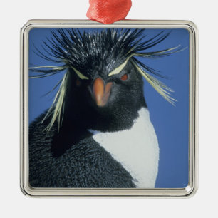 Rockhopper Penguin (Eudyptes chrysocome) Metal Ornament