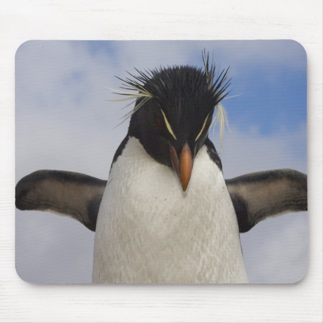 Rockhopper Penguin Eudyptes chrysocome Mouse Pad (Front)