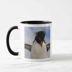 Rockhopper Penguin Eudyptes chrysocome Mug