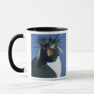 Rockhopper Penguin (Eudyptes chrysocome) Mug