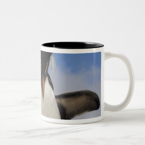 Rockhopper Penguin Eudyptes chrysocome Two_Tone Coffee Mug