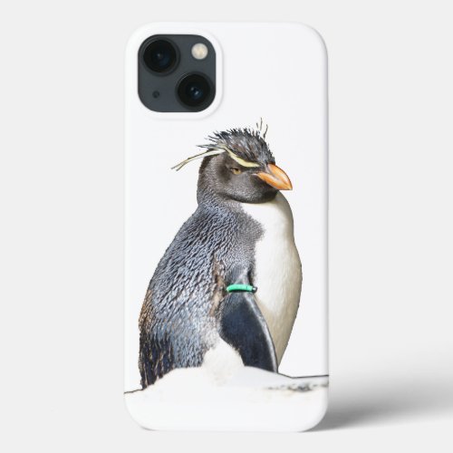 Rockhopper Penguin iPhone 6 case