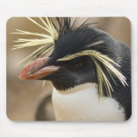 Rockhopper Penguin  Mouse Pad