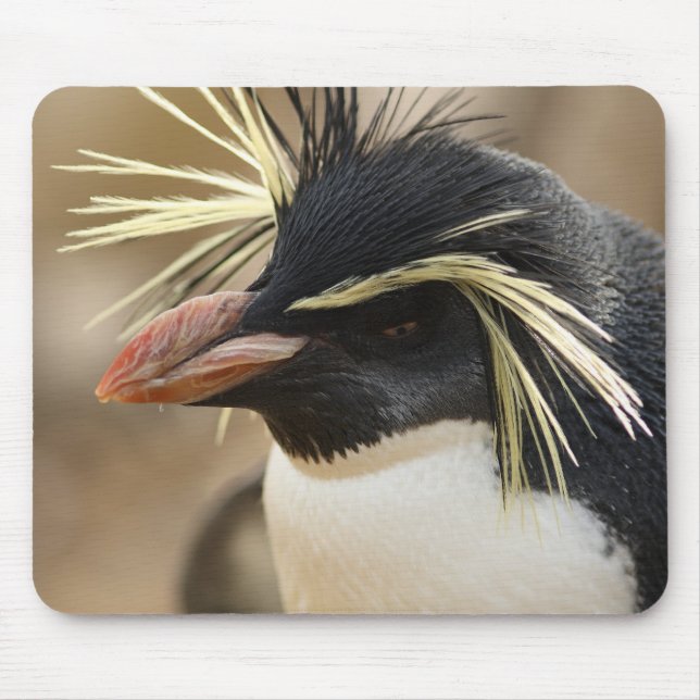 Rockhopper Penguin  Mouse Pad (Front)