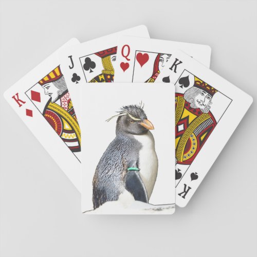 Rockhopper Penguin Playing Cards