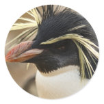 Rockhopper Penguin  Stickers