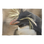 Rockhopper Penguin  Towel