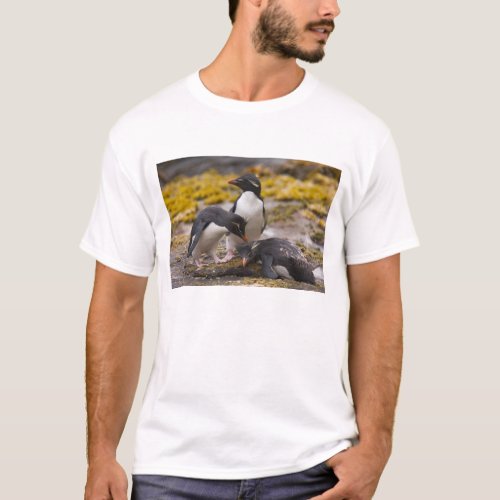 Rockhopper penguins communicate with each other T_Shirt