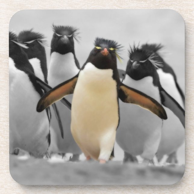 Rockhopper Penguins Drink Coaster (Front)