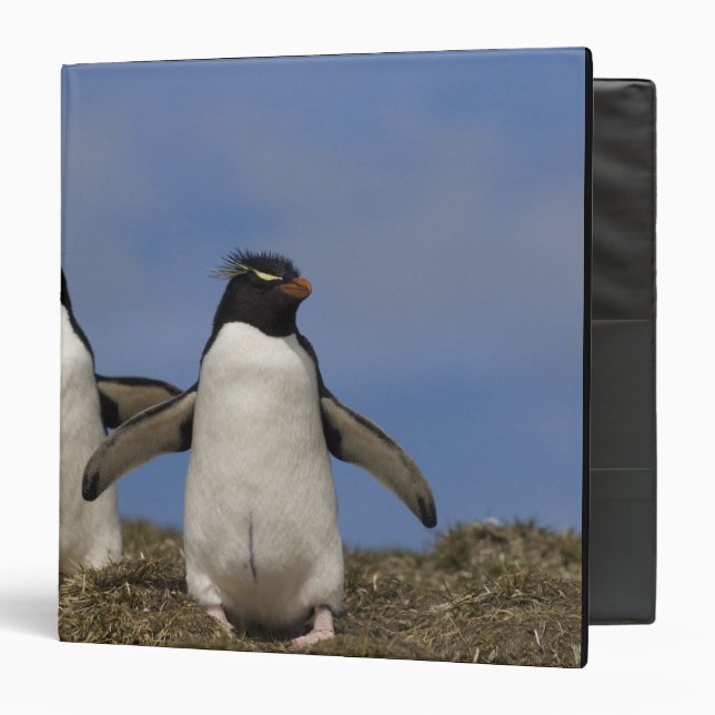 Rockhopper Penguins Eudyptes chrysocome Binder (Front/Inside)