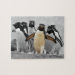 Rockhopper Penguins Jigsaw Puzzle at Zazzle