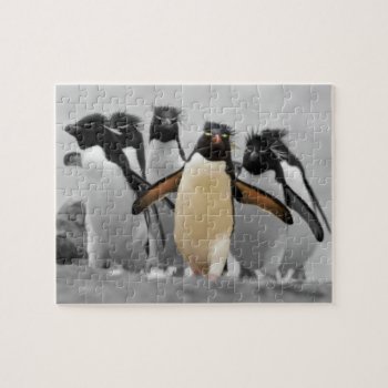 Rockhopper Penguins Jigsaw Puzzle by Wilderzoo at Zazzle