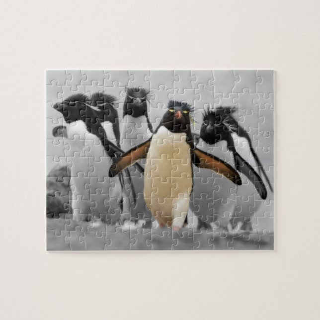 Rockhopper Penguins Jigsaw Puzzle (Horizontal)