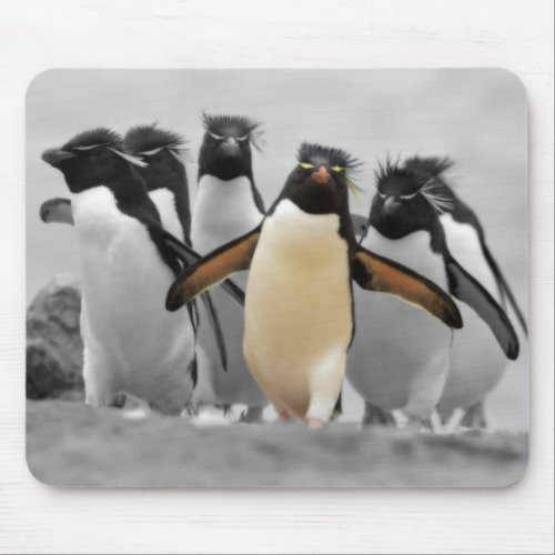 Rockhopper Penguins Mouse Pad