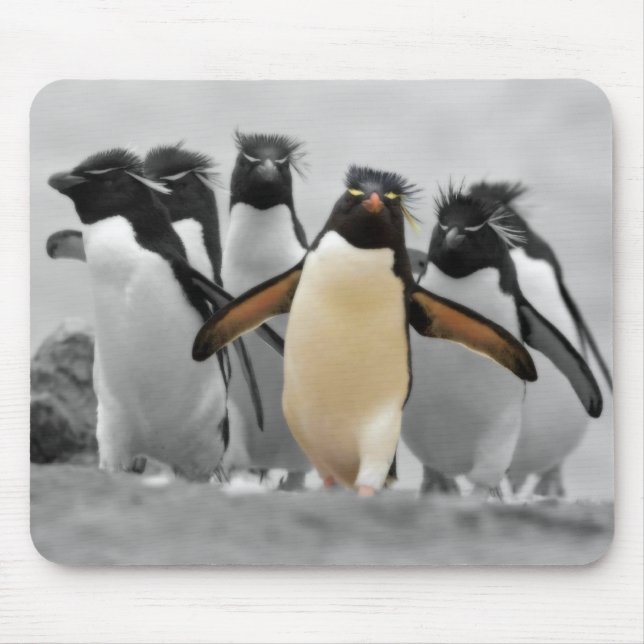 Rockhopper Penguins Mouse Pad (Front)