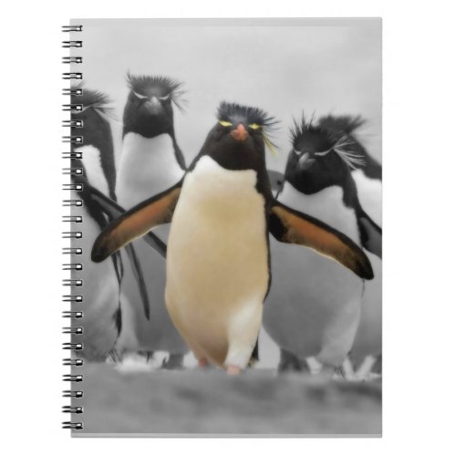 Rockhopper Penguins Notebook