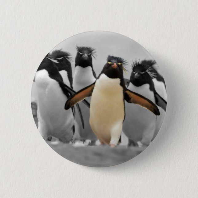 Rockhopper Penguins Pinback Button (Front)