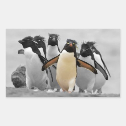 Rockhopper Penguins Rectangular Sticker