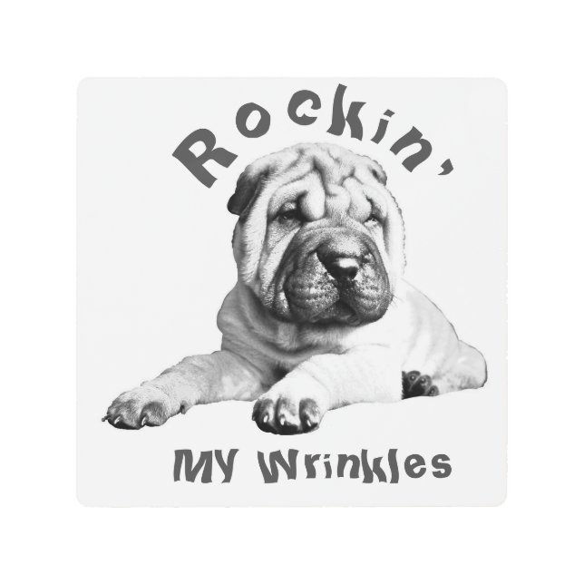 Rockin' My Wrinkles Shar Pei Wall Art (Front)