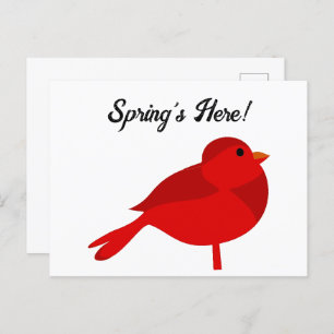 Rockin’ Robin, Cute Red Cardinal Nature Cartoon Postcard
