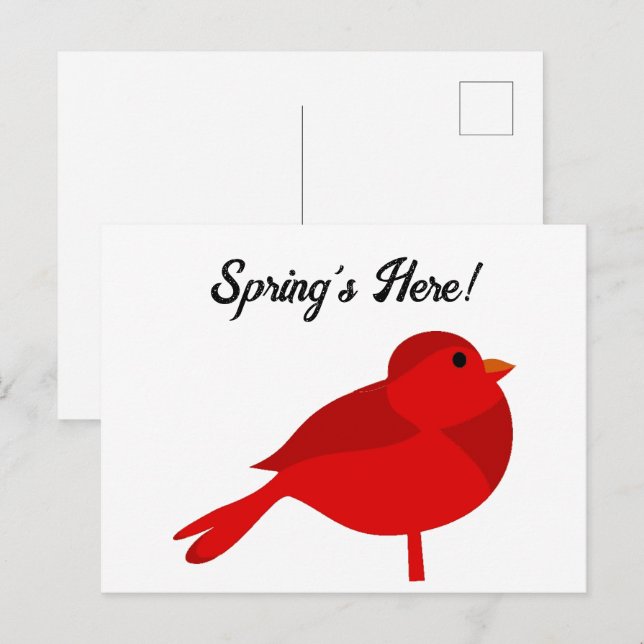 Rockin’ Robin, Cute Red Cardinal Nature Cartoon Postcard (Front/Back)